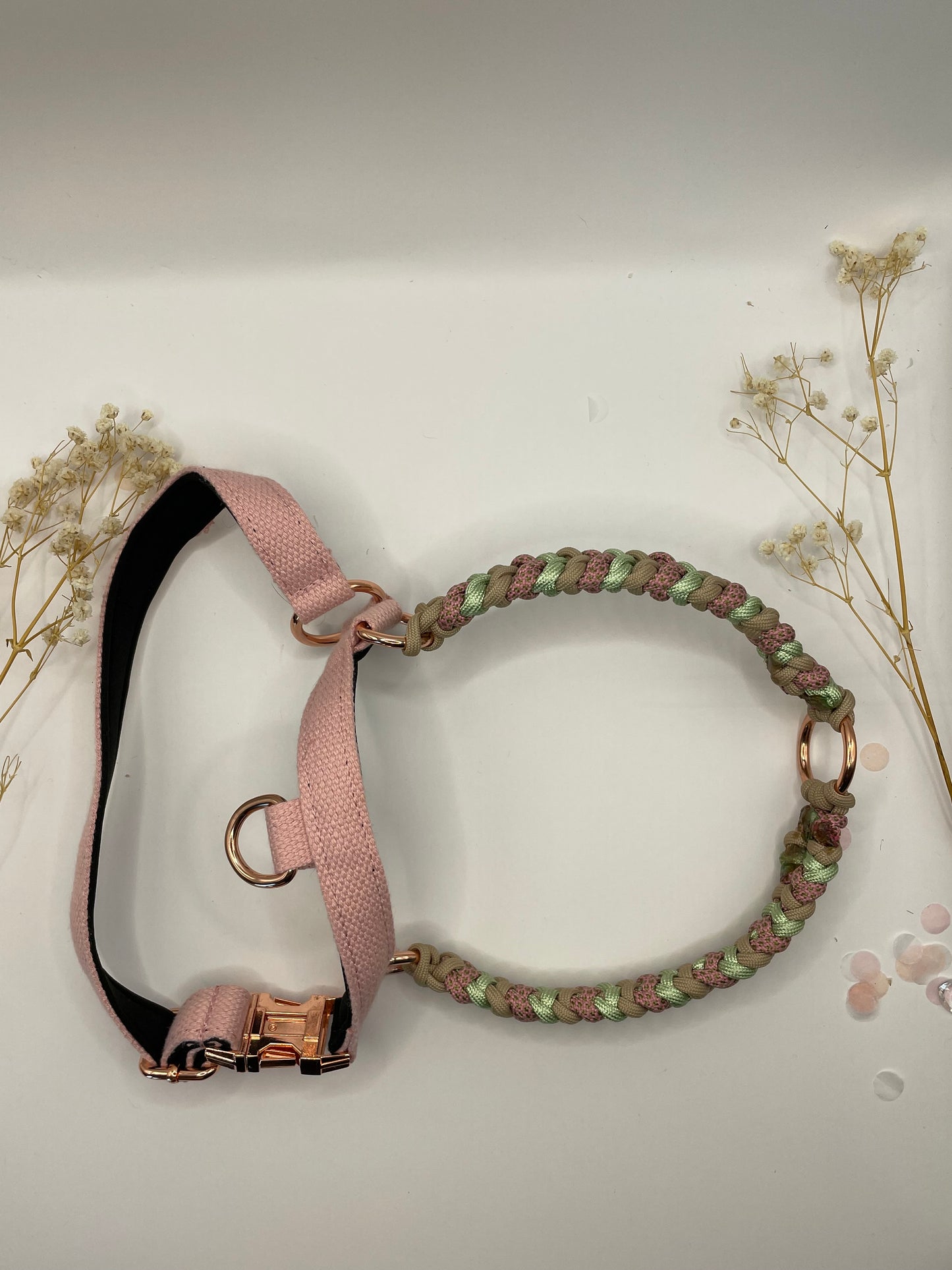 Hundegeschirr "Shiny"