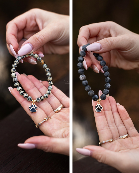 🐾 Für die Bullys ✨