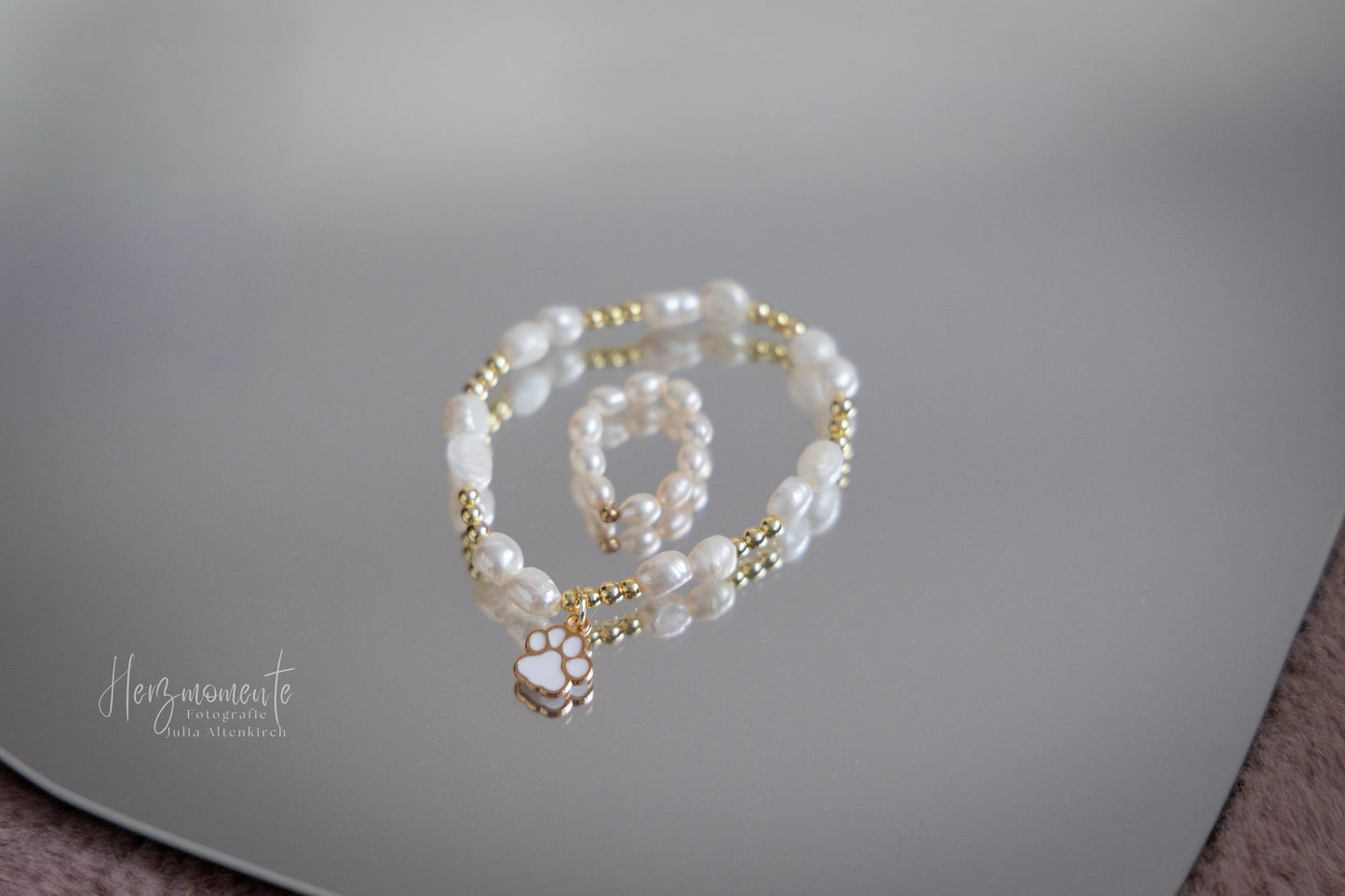 🐾 Für die Tiere aus Bulgarien 🇧🇬