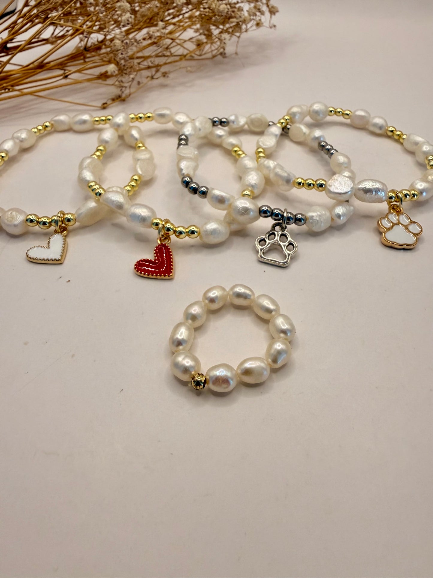 🐾 Für die Tiere aus Bulgarien 🇧🇬