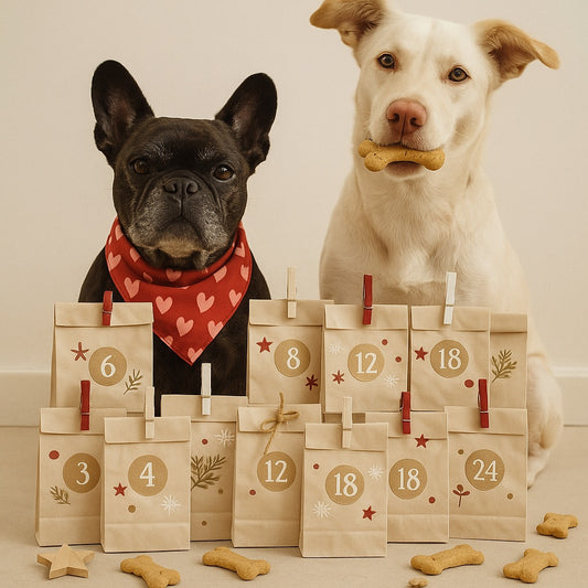 Adventskalender 🍪 Crispy 🍪