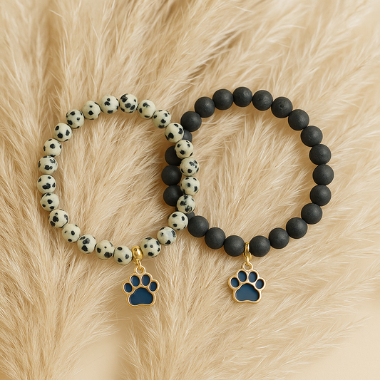 🐾 Für die Bullys ✨