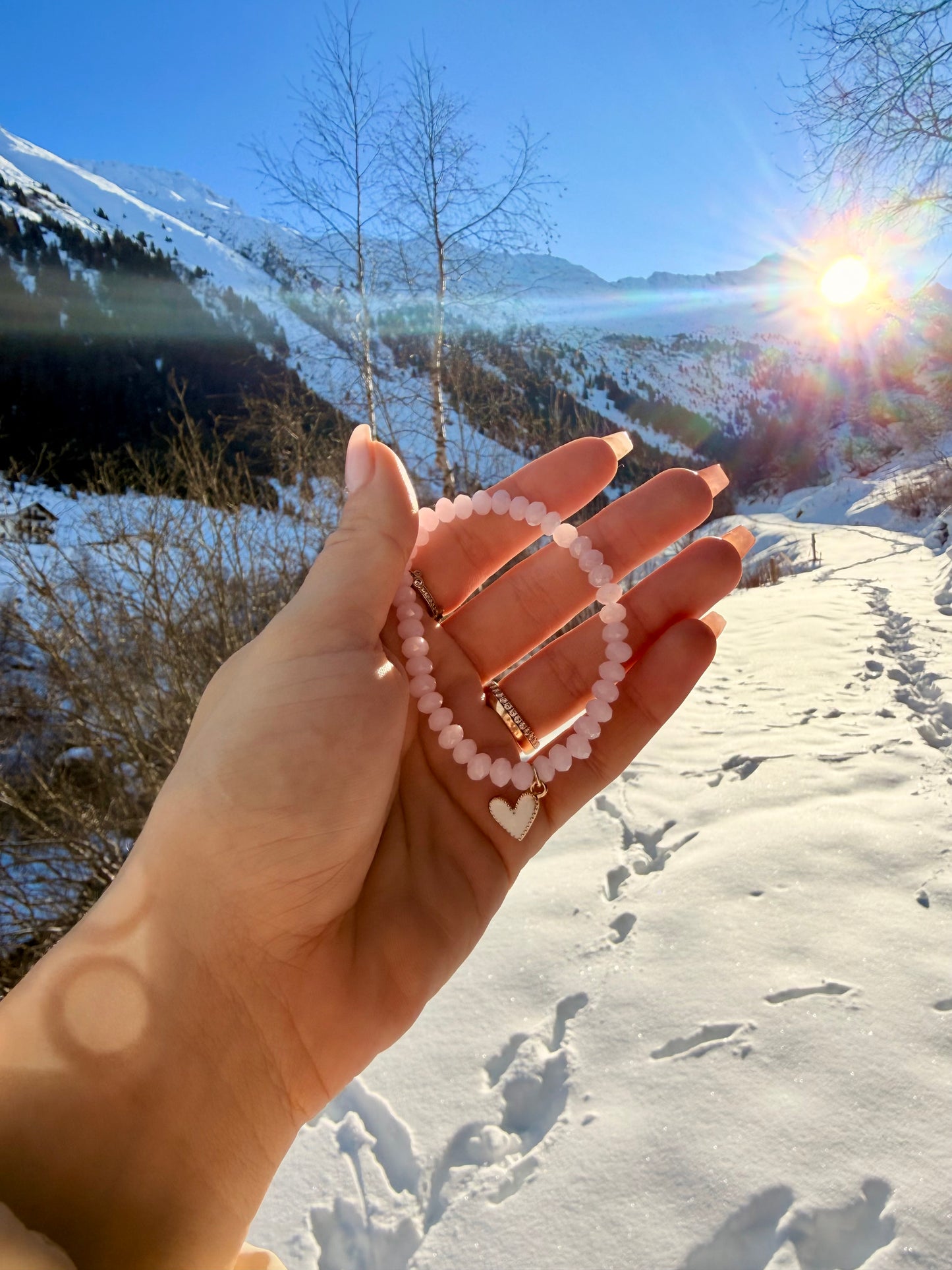 🐾 Für die Tiere von Mauritius 🇲🇺