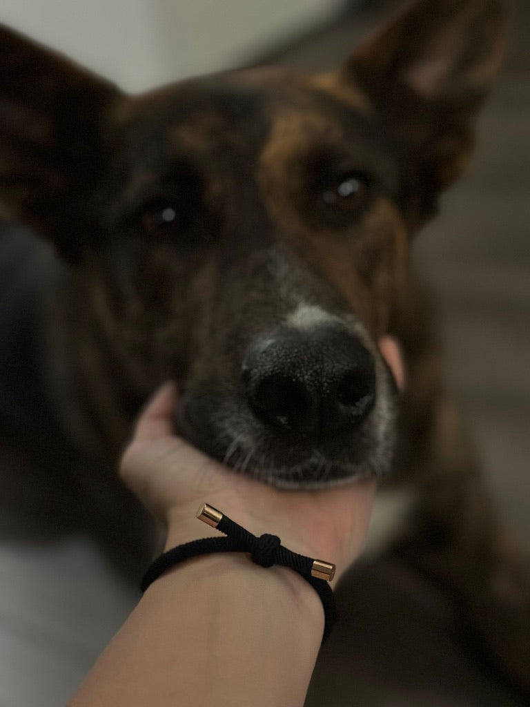 kleiner Haartraum 💝