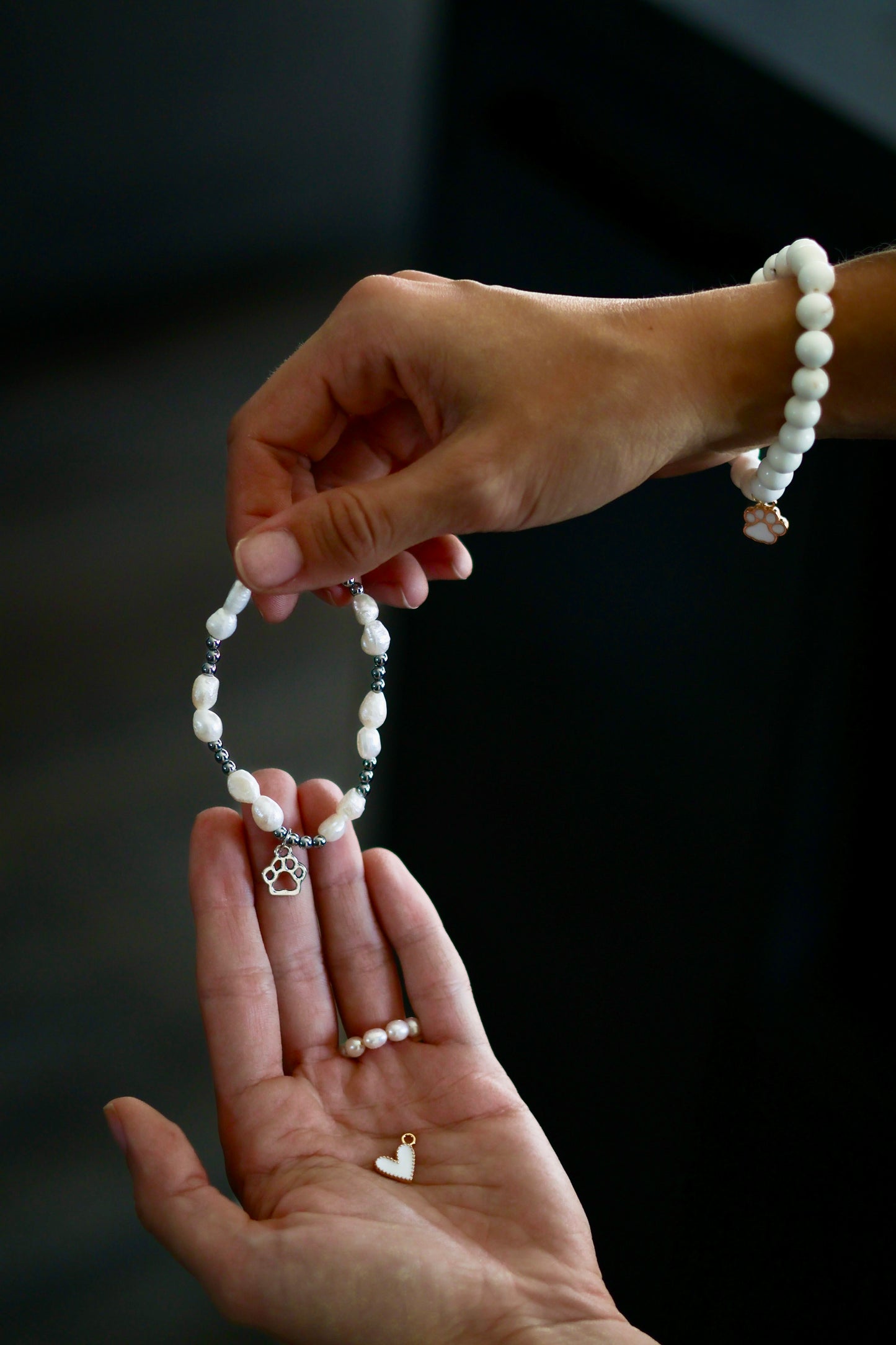 🐾 Für die Tiere aus Bulgarien 🇧🇬