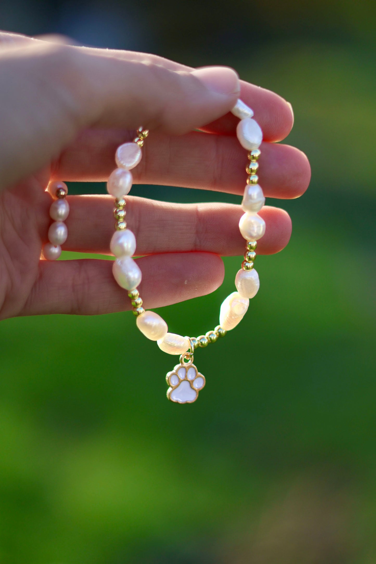 🐾 Für die Tiere aus Bulgarien 🇧🇬