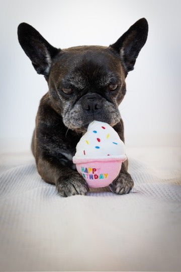 Geburtstagsset Barkday 🎂
