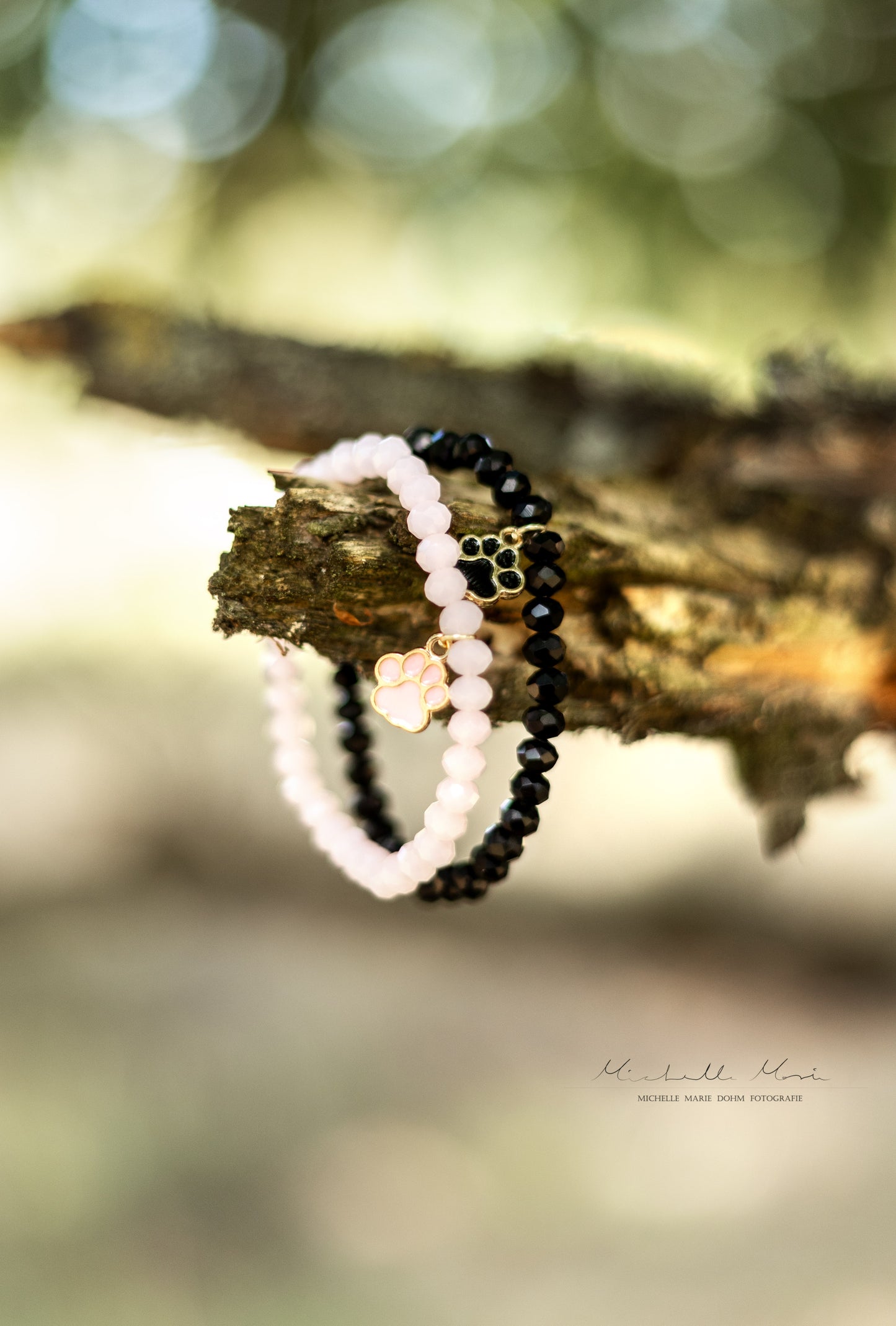 🐾 Für die Tiere von Mauritius 🇲🇺