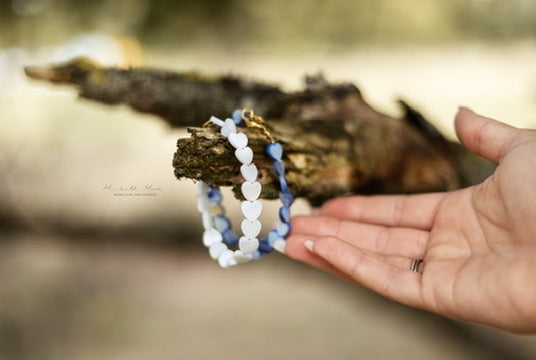 🐾 Für die Tiere von Lombok  🇮🇩