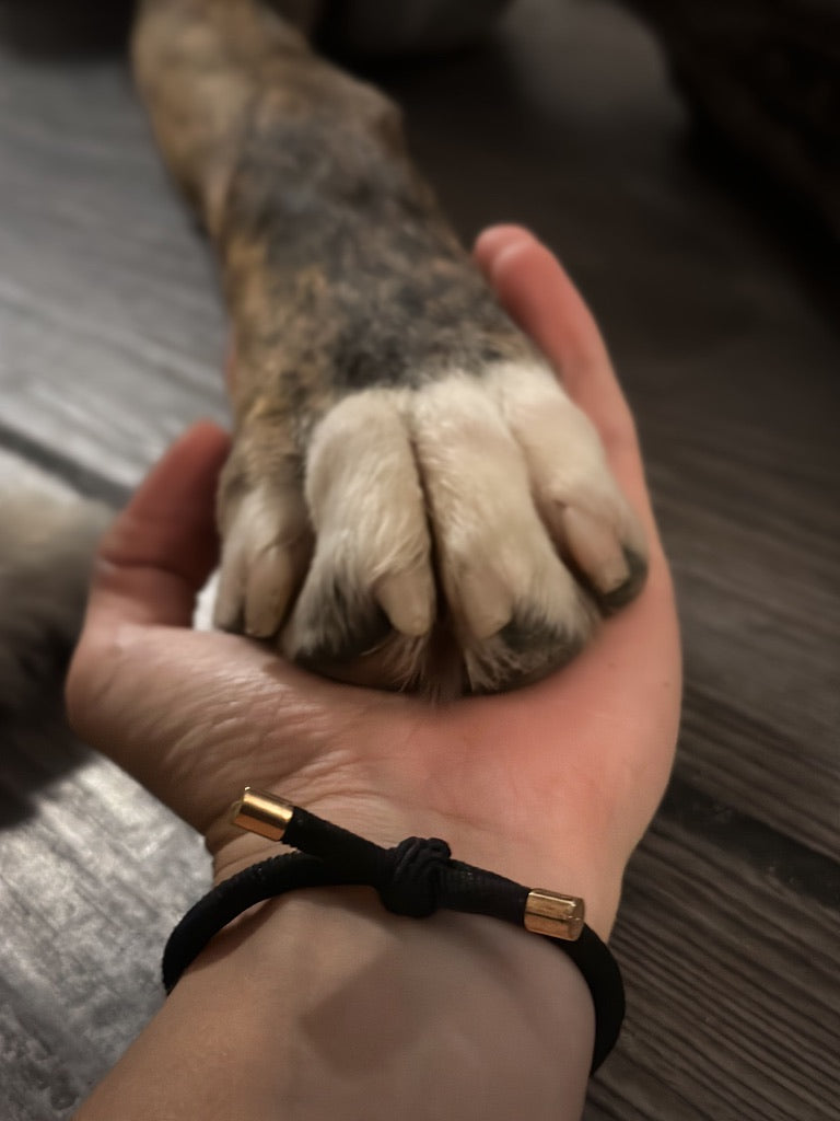 kleiner Haartraum 💝