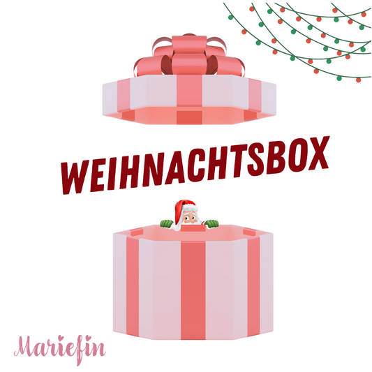 🎁 Weihnachtsbox *XXXL* 🔔
